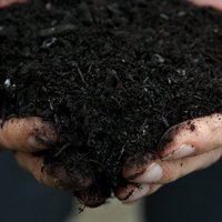 ASV štatā turpmāk aizgājušos tuviniekus varēs kompostēt
