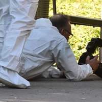 Убийство гражданина Грузии в Берлине могло быть заказным