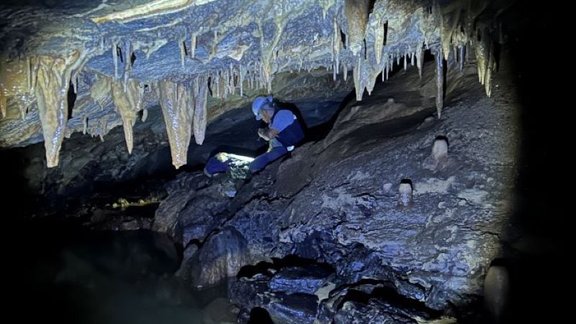 Meksikas alā atrasta "draza" izrādās noslēpumainu ļaužu gatavoti auglības artefakti