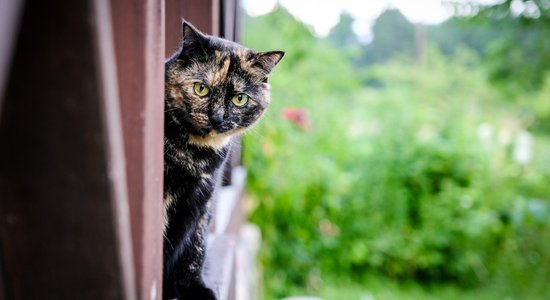 Дождь начнется во второй половине дня