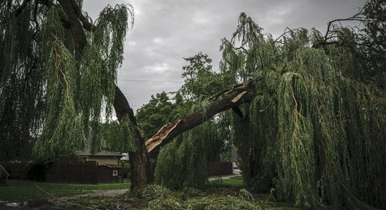 Kā spēcīgā vētra postīja Latviju: VUGD 348 izsaukumi un vairāki cietušie