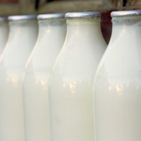Piena pārstrādātājiem būs grūti segt turpmāku piena iepirkuma cenu kāpumu, skaidro LPCS