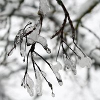 Похолодание в Латвии: ожидаются морозы, почти всю страну накроет снегом