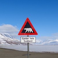Polārlācis Norvēģijas salās uzbrūk 'Saules aptumsuma tūristam'