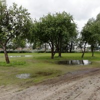 Из-за строительных работ до мая закроют зону отдыха на Луцавсале