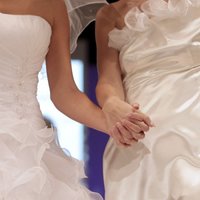 Омбудсмен: Латвия имеет право не признавать однополые браки