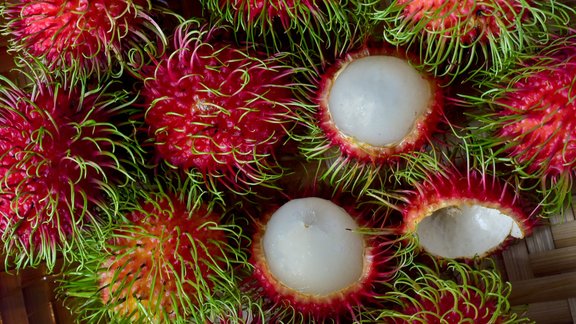 Rambutāns