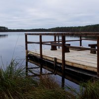 Kopš maija sākuma glābēji no Latvijas ūdenstilpēm izcēluši 45 noslīkušos