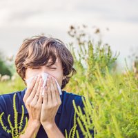 Эксперт предупреждает: эти четыре аллергена могут испортить вам лето
