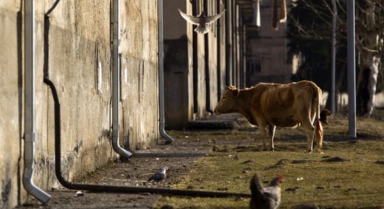 Bitkoinu fermas paralizē Abhāzijas elektrotīklus