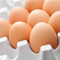 На фоне сильного подорожания яиц оборот Balticovo вырос на 47%