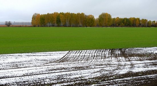 LOSP nākamgad ES centīsies panākt labākus nosacījumus Latvijas zemniekiem