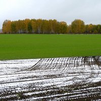 LOSP nākamgad ES centīsies panākt labākus nosacījumus Latvijas zemniekiem