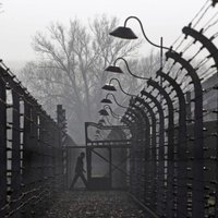 91-летнюю немку обвинили в соучастии в 260 000 убийств в Аушвице