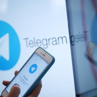 Роскомнадзор требует от Telegram заблокировать ботов по сбору данных россиян