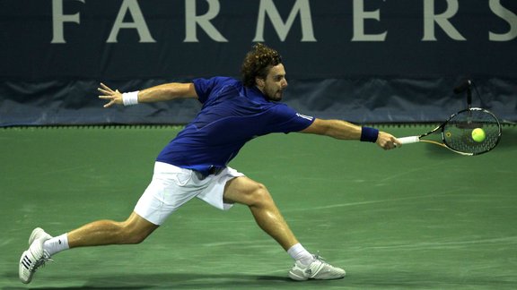 Gulbis 6