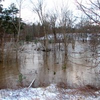 Ogresgalā pie Rankas ietekas Ogres upe izgājusi no krastiem