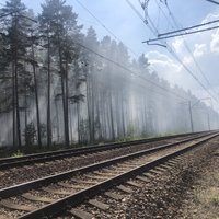 На болоте под Раматой возобновилось горение, на помощь прибыли эстонские пожарные