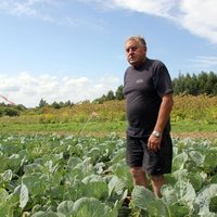 Zemnieks Ķekavā: 'Apstrādātā zemē latvāņu nav!'