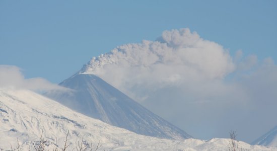 Пилоты упавшего на Камчатке самолета Ан-2 выжили после трех дней в тайге