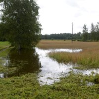 Paaugstinātais ūdens līmenis Latvijas upēs pašvaldībām nav radījis lielu plūdu draudus