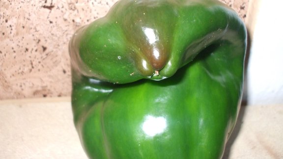 Paprika 'uzvedas' kā kobra Paprika 'uzvedas' kā kobra