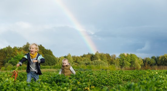 Nozare, kurā esam soli priekšā Igaunijai un Lietuvai – bioloģiskā pārtika