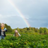 Nozare, kurā esam soli priekšā Igaunijai un Lietuvai – bioloģiskā pārtika