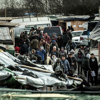 Daļai Kalē 'Džungļu' iemītnieku atkal liek izvākties