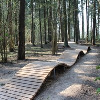 Tērvetē atklās Baltijā lielāko piedzīvojumu velotaku meža vidē