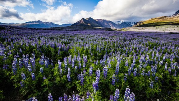 Vatnajokull nacionālais parks Islande