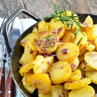 Ideāli ceptie kartupeļi un citas receptes ar aromātiskā rozmarīna sildošo pieskārienu