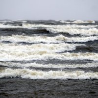 Исследователь: Балтийское море зарастает, в нем образуются "мертвые районы"