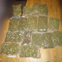 Foto: Policija Liepājā uziet piecus kilogramus marihuānas, tramadola tabletes un amfetamīnu