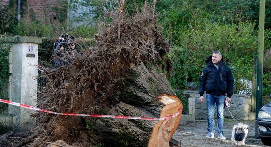 ФОТО, ВИДЕО: Последствия урагана "Киара" глазами европейцев