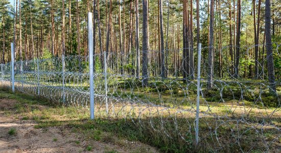 В лесу под Ригой задержаны 23 нелегала с латвийско-белорусской границы