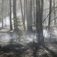 Zalves pagasta meža ugunsgrēks lokalizēts; kūdra gruzdēs vēl vairākas dienas