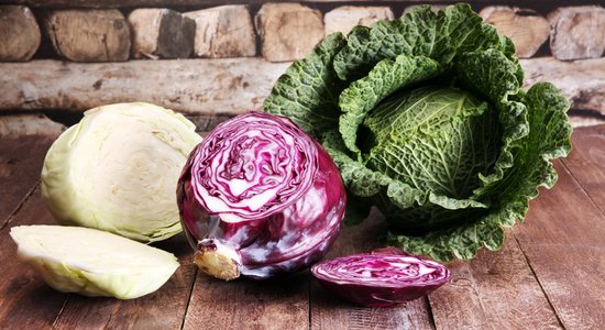 Польза и вред капусты: защита от атеросклероза, помощь кишечнику и еще 8 ценных свойств овоща