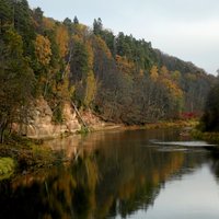 Oktobrī sāks pastiprināti kontrolēt lašu un taimiņu nārsta upes