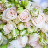 Ziedu izvēle kāzām: aktualitātes, nerakstītie likumi un ieteikumi jaunā pāra sveikšanai