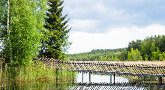 ФОТО. Природная тропа озера Юодле – прекрасное место для прогулок прямо на границе с Литвой