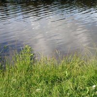 Из-за загрязнения не рекомендуется купаться в озере Бабелитес в Риге