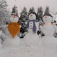 Foto: Skaistā sniegavīru ģimenīte Jaunpiebalgas novadā