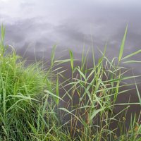 Engures ezerā zemākais ūdens līmenis novērojumu vēsturē