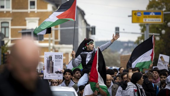 Palestīnas atbalsta protests