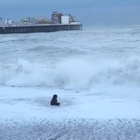 Video: Riskējot ar dzīvību, sieviete metas milzu viļņos glābt suni