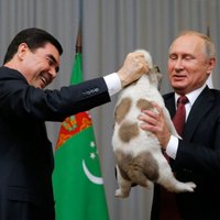 Foto: Putins dāvanā no turkmēņu vadoņa saņem kucēnu Verniju