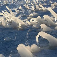 Aculiecinieka foto: Daugavgrīvas molu ieskauj ledus brīnumiņi