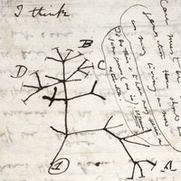Kembridžas universitātē mistiski uzrodas par nozagtiem uzskatīti Čārlza Darvina pieraksti