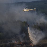 Černobiļas AES tuvumā plosās mežu ugunsgrēks